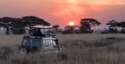 Safaris & tours